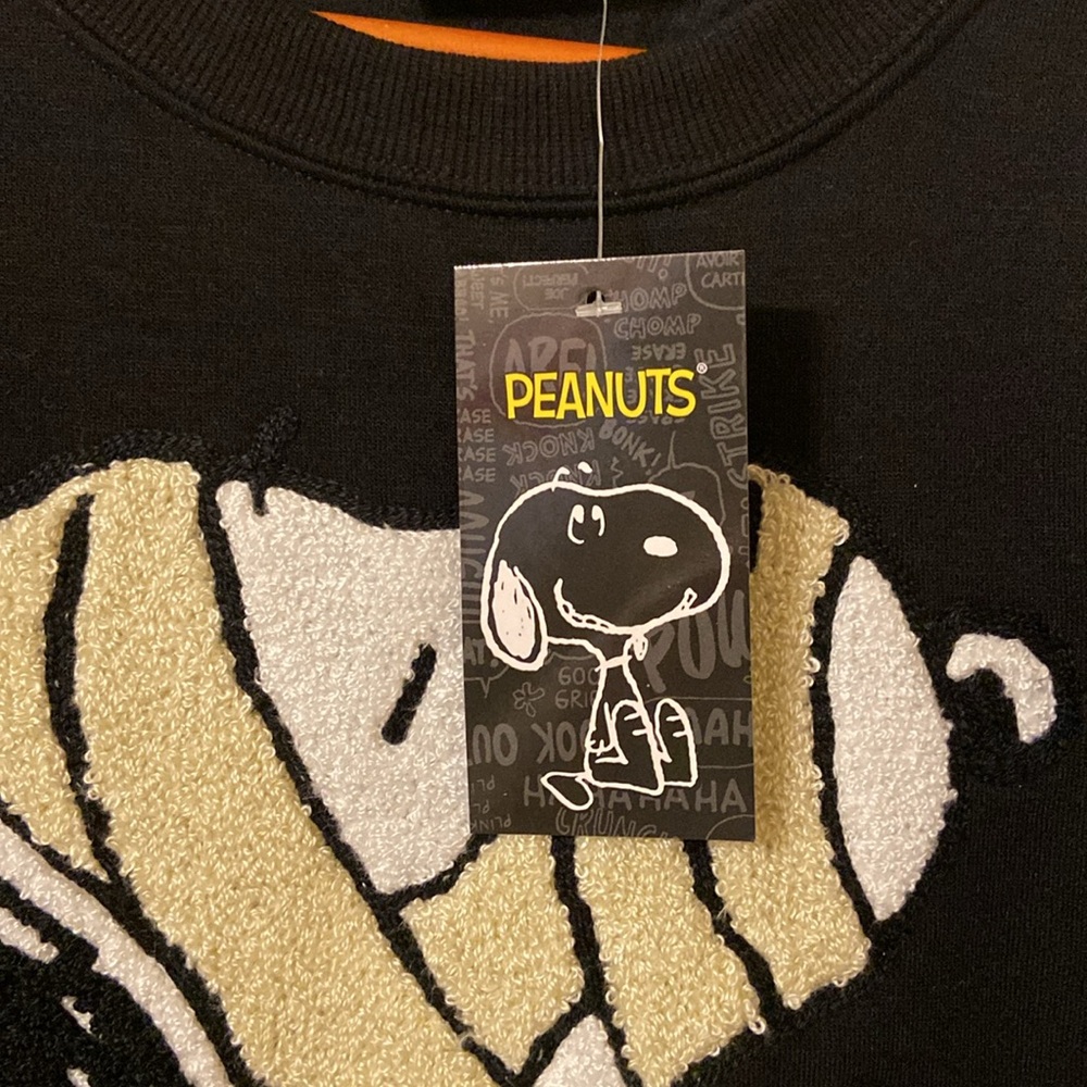 039 NWT Peanuts Snoopy Large for Train - Picture 5 of 14